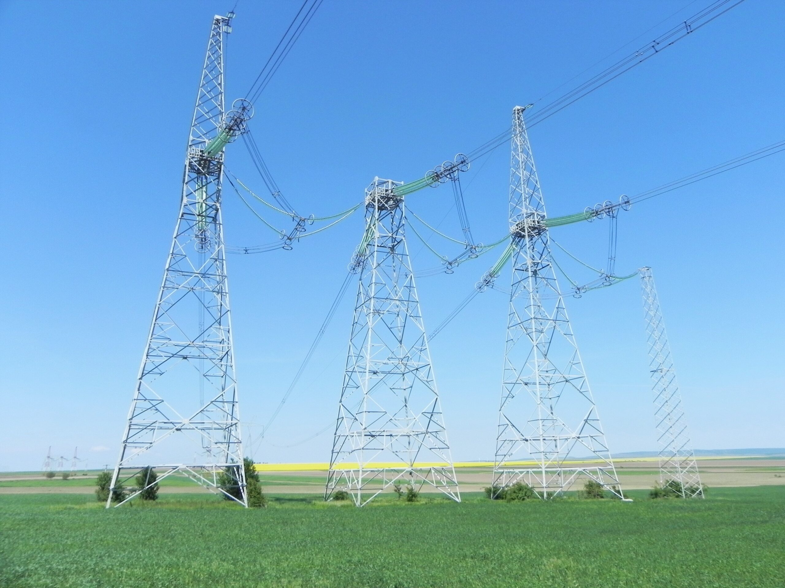 Elm membra energobit grup