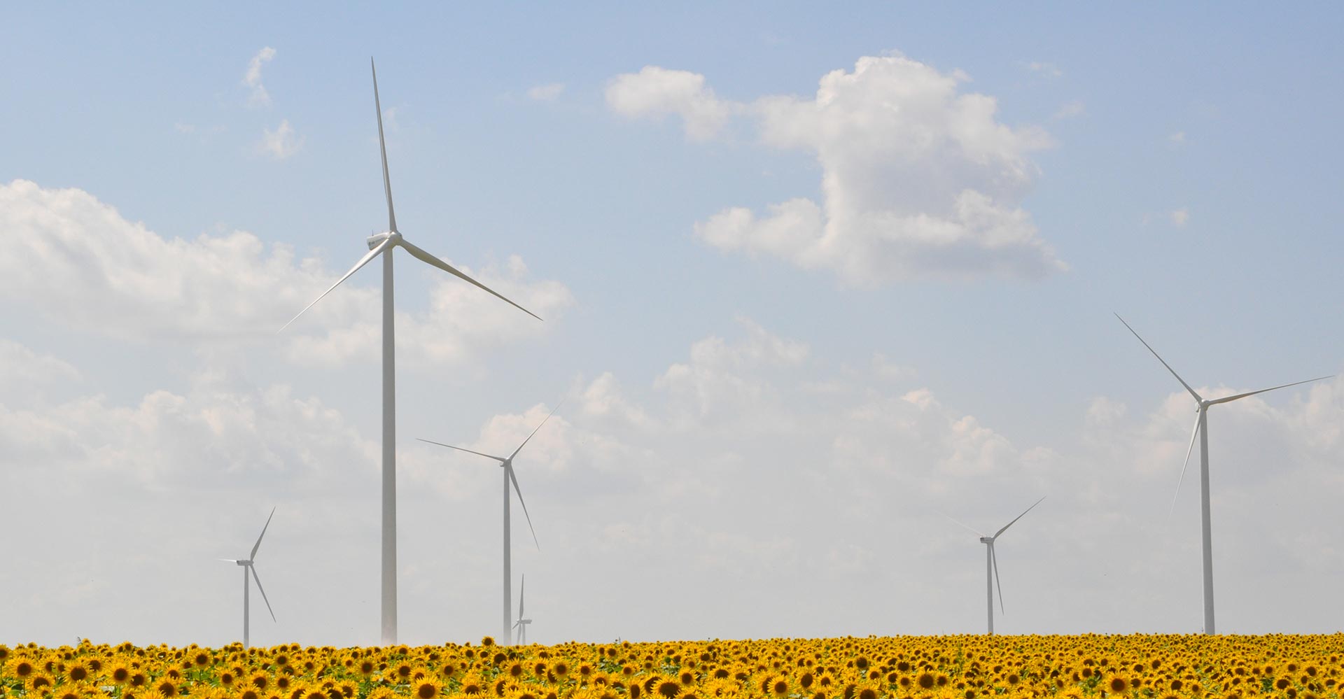 Centrale eoliene